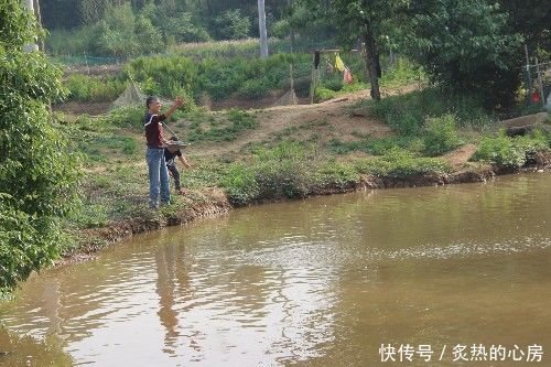 鱼塘的鱼无缘无故消失，男子把水抽干以后，终于逮到了罪魁祸首