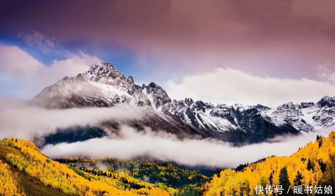 发朋友圈的精美短句,句句精辟,第一句就扎心了