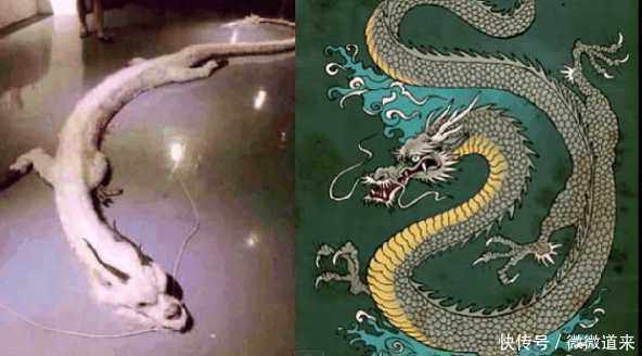 专家称:龙并非地球生物,有可能是外星人?