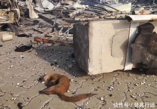 北京交通大学爆炸已造成3名学生死亡!死状惨烈