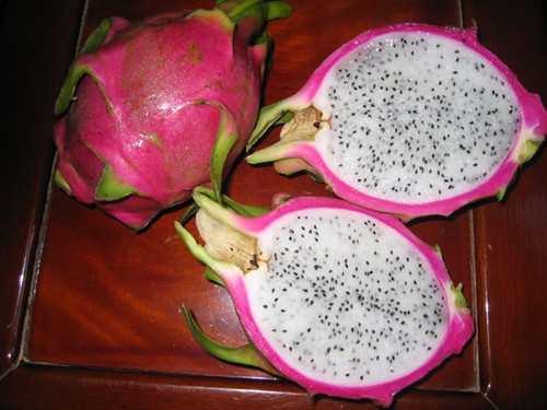 认识一个只吃火龙果籽的姑娘,如今38岁无人敢