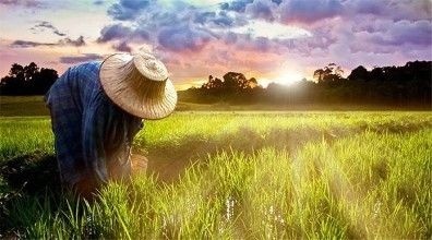 土地确权截止时间