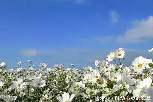 短而有感的好句, 最新个性签名