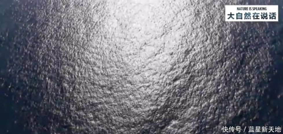 t01829087ff8843dba6.jpg?size=978x464