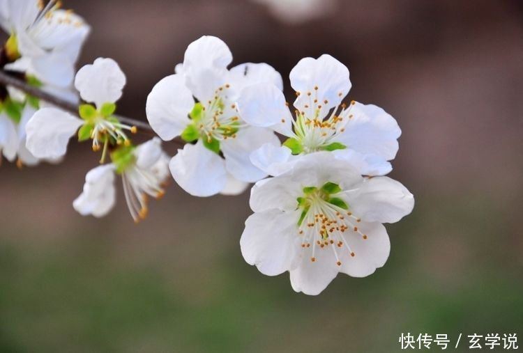 未来一周，财神缠身，横财入宅，生意越做越大的3生肖！