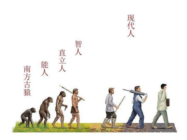 如果人类是从猿猴进化而来,那应该先有公猿猴