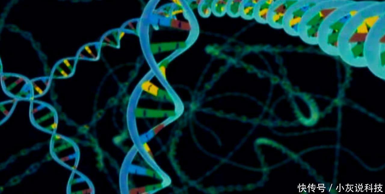 宇宙生物研究者： 地球生命种类正在不断增加， 原因超越人类思维