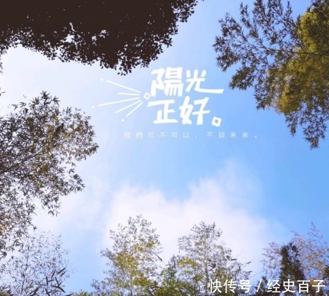 t01855d259c1ad79477.jpg