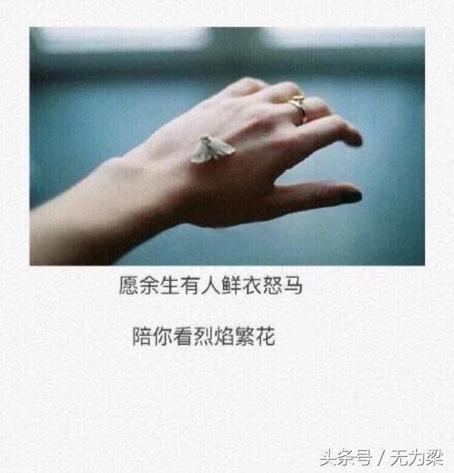 每一句都说到心坎里!愿余生有人鲜衣怒马,陪你看烈焰繁花!