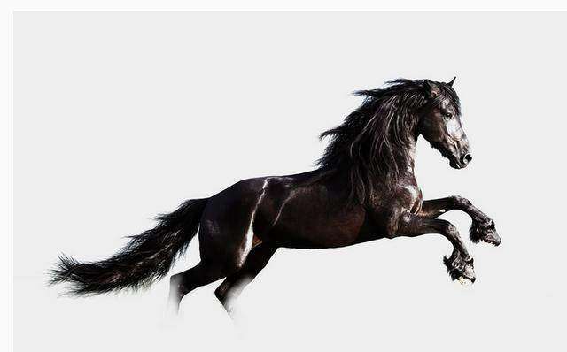 6月属马人的运势大好,越快越好打开看看!