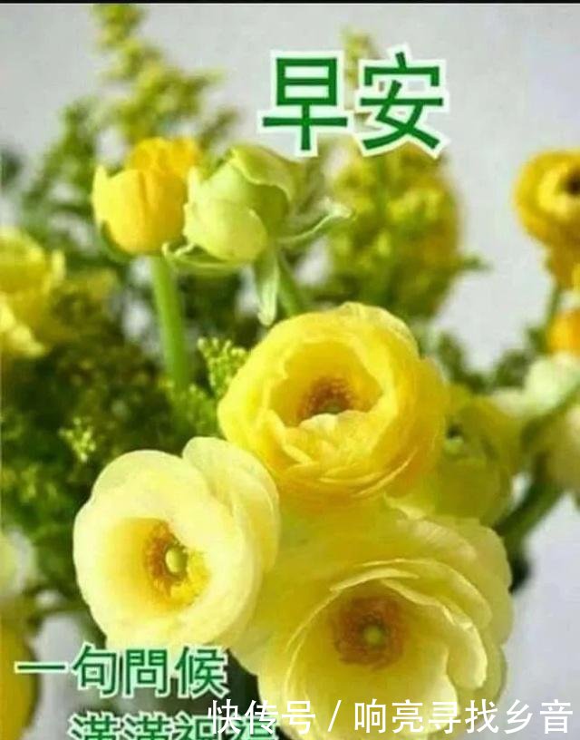 微信看不了更多表情