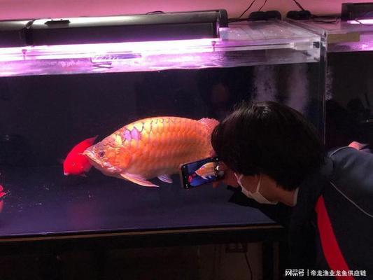 永城市東城區(qū)超越水族館（永城市東城區(qū)超越水族館電話）