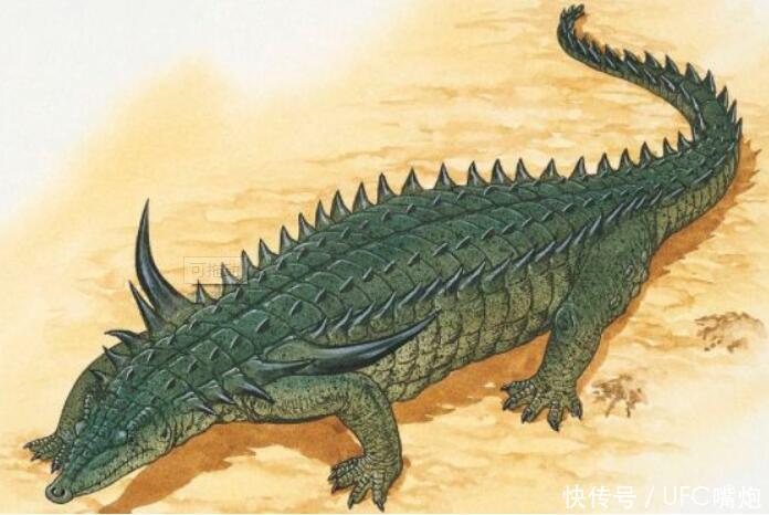 5种已灭绝亿万年的史前动物,第3种是昆虫的远