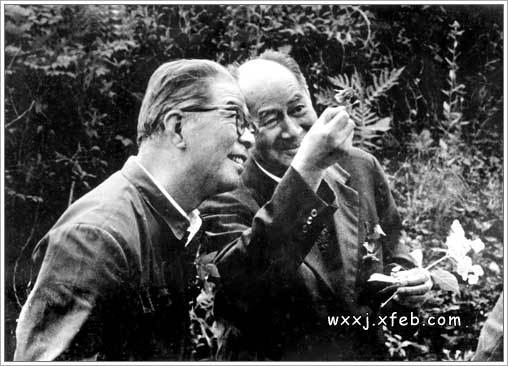 蔡希陶