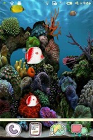 海洋水族馆动态壁纸