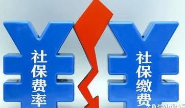 社保费率降低