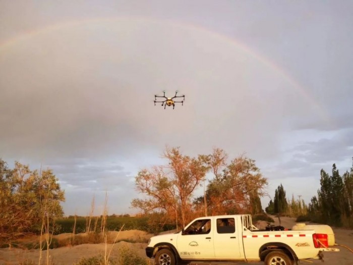 无人机创业!90后海归美女回家当农民,种地月入10万