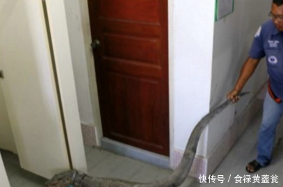 美女突然肚子痛去公共厕所,走进去看到一样东