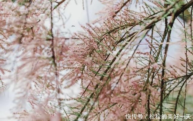 t018dd2427bbb4e95a4.jpg?size=640x401