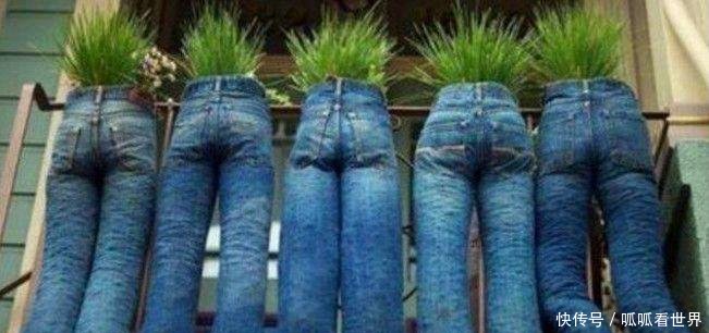 美国女子用废弃牛仔裤种花, 邻居见到之后, 悄悄