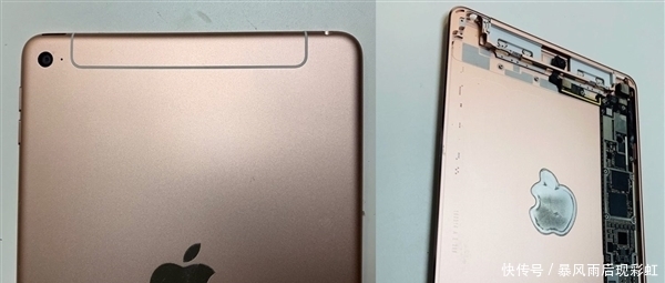 疑似新一代iPad mini曝光:设计变了