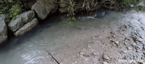 石缝下钓鱼, 好水有好鱼, 鱼身上的红点像梅花一