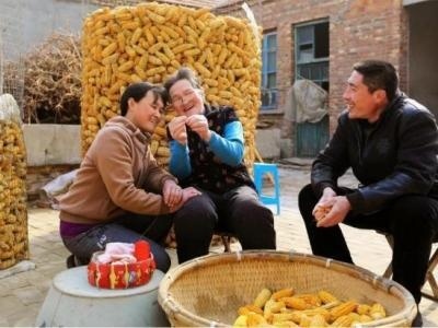 土地永久性转让合法吗