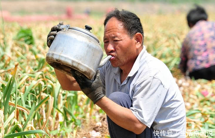 明知道种地不赚钱,为什么农民不愿意放弃土地?