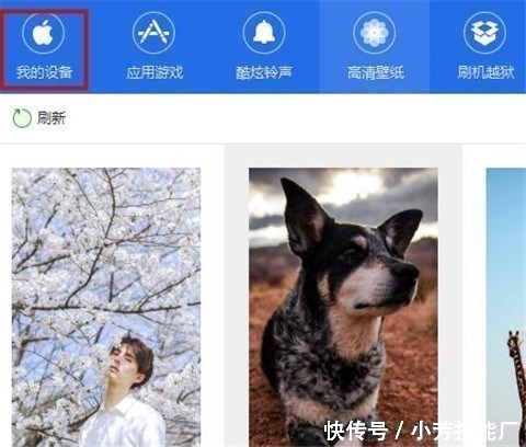 苹果手机屏幕坏了怎么导出照片