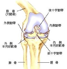 右膝关节内测副阳带断了1根应该怎样制