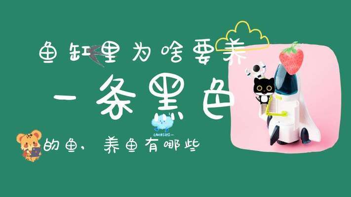 回民區(qū)洋溢水族館（回民區(qū)洋溢水族館電話） 全國(guó)水族館企業(yè)名錄