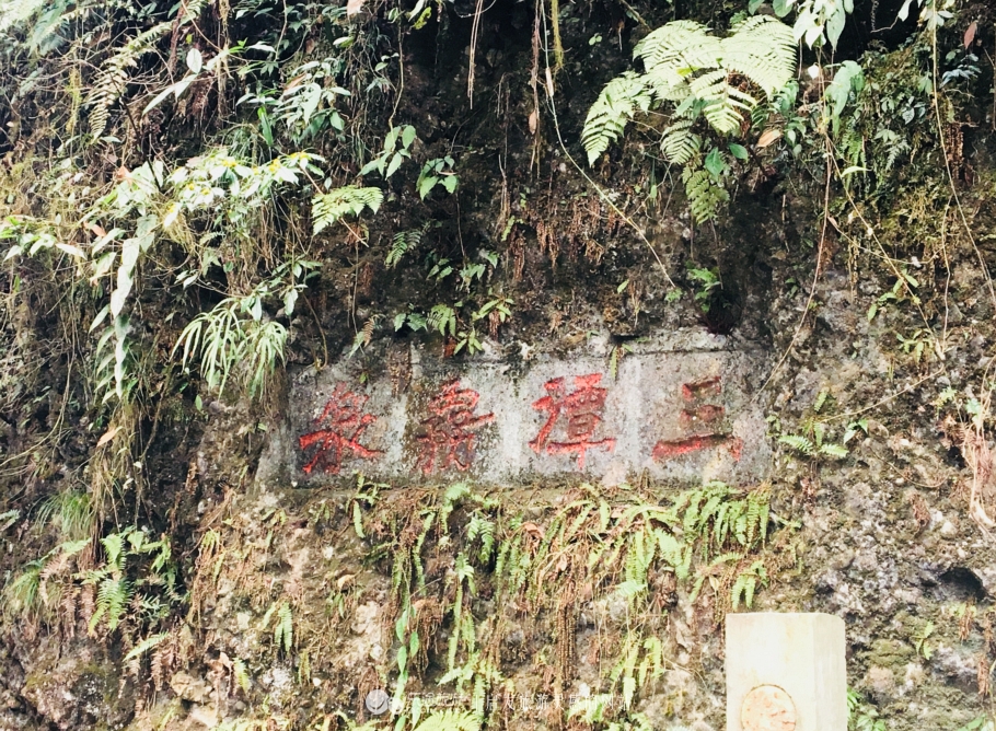 青城后山，没进都江堰的都江堰之旅