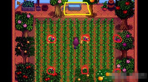 谷物语温室怎么布局好 星露谷物语温室布局攻