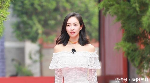 电视剧女演员指数年榜,杨紫第四,杨幂第二,榜首