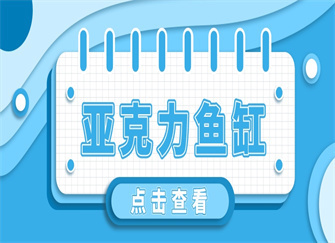 龍魚批發(fā)市場地址查詢電話號(hào)碼（龍魚批發(fā)市場地址查詢電話號(hào)碼）