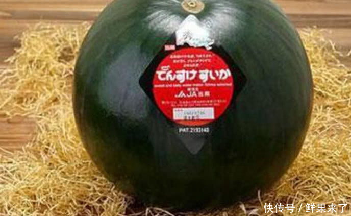 日本北海道西瓜3万元一个,到底有啥不一样?答案让人瞠目结舌