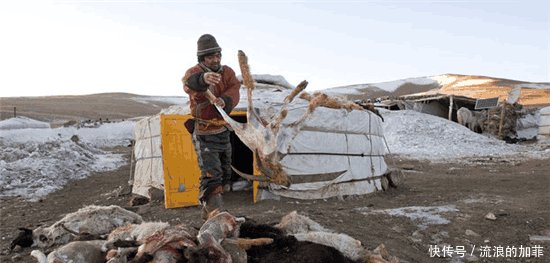 实拍 外蒙古与内蒙古牧民冬季生活的对比, 差距