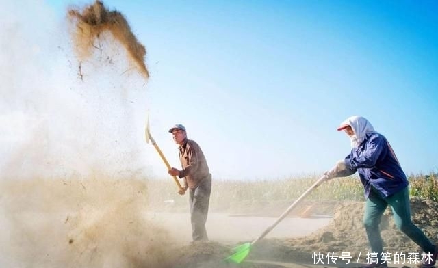 一个生活中物理的现象常见,初中到师生都在讲情初中大学叙事浓浓作文图片