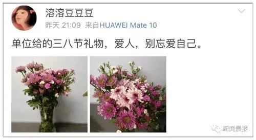 t0197e461fbb525828d.jpg?size=500x273