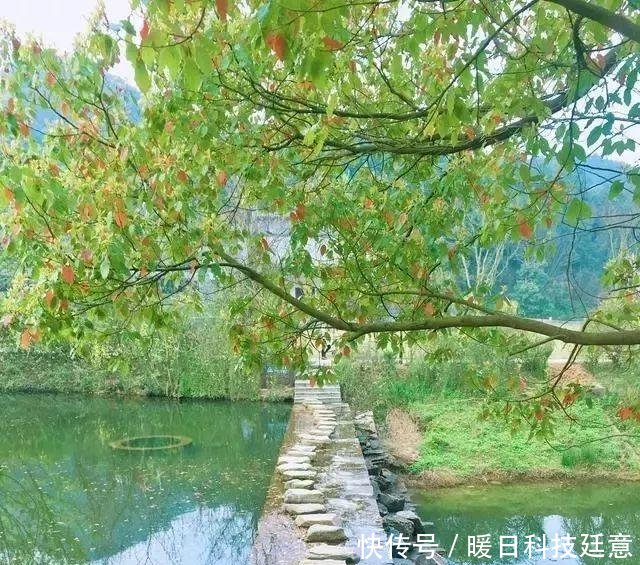 五一四天假怎么过良心推荐武汉的三个小众地方