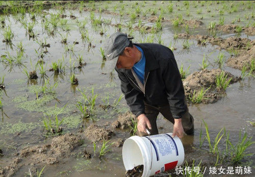 农村里的六大野味排行，最后一种700块一斤，有钱都不一定买得到