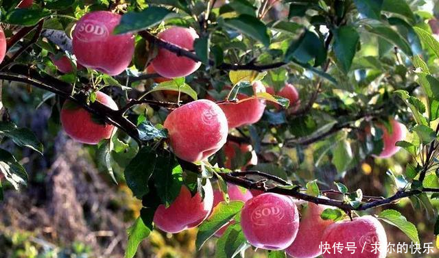 厉害了，河南这5个县市区被教育部点名，未来发展要逆天！