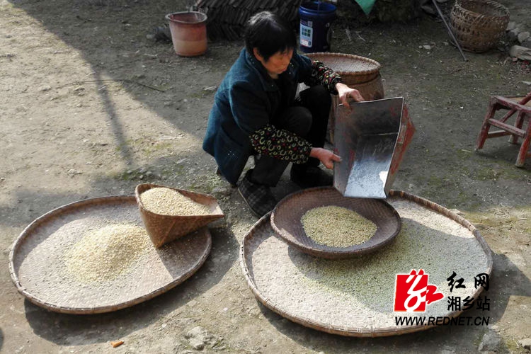 舌尖上的年味:石磨豆腐是家的味道