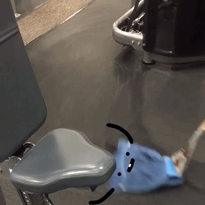 【趣味gif】给平凡的东西加上表情和内心戏~真的好萌!