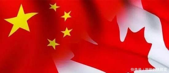 自食恶果!中国停止进口加拿大油菜籽加拿大作