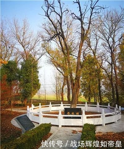 让退伍老兵不再受委屈!战争来临老兵永远不会