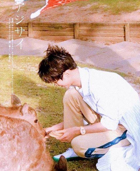 日本偶遇王俊凯喂鹿,戴着眼镜,斯文安静,如漫画