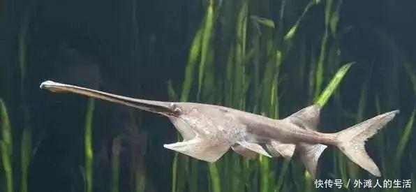 春运候补火车票