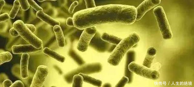 世界卫生组织表示淋病越来越难以治愈,意味着