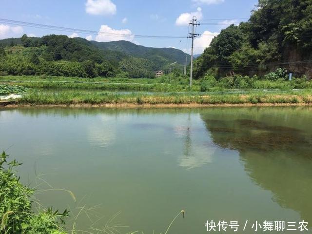 澳洲龙虾养殖基地视频 t01a26103ee8302c370.jpg